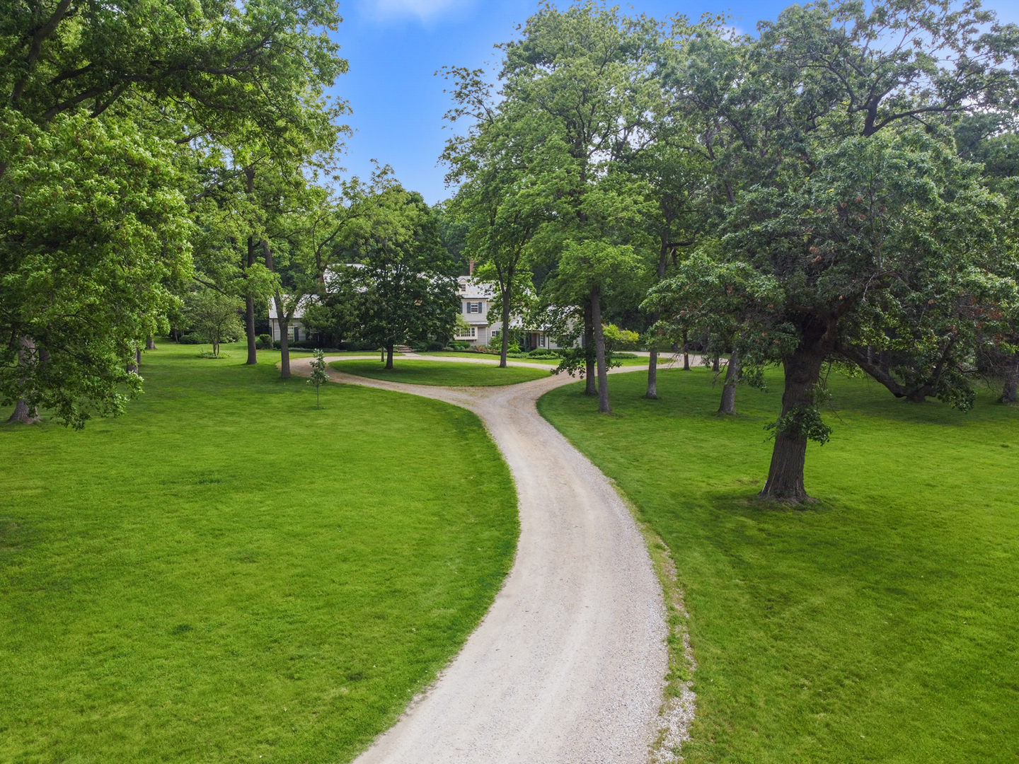 a view of a park with trees in the background