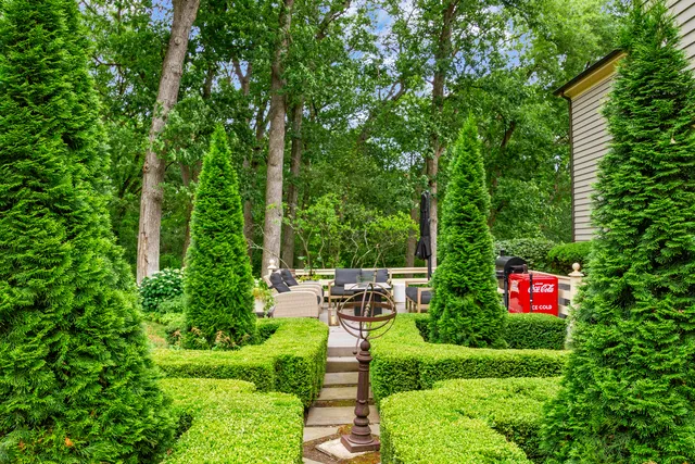 a green field with lots of palm trees