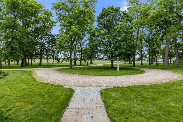 a view of a park with tree s