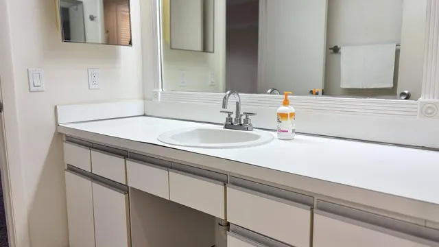 a bathroom with a sink and a mirror