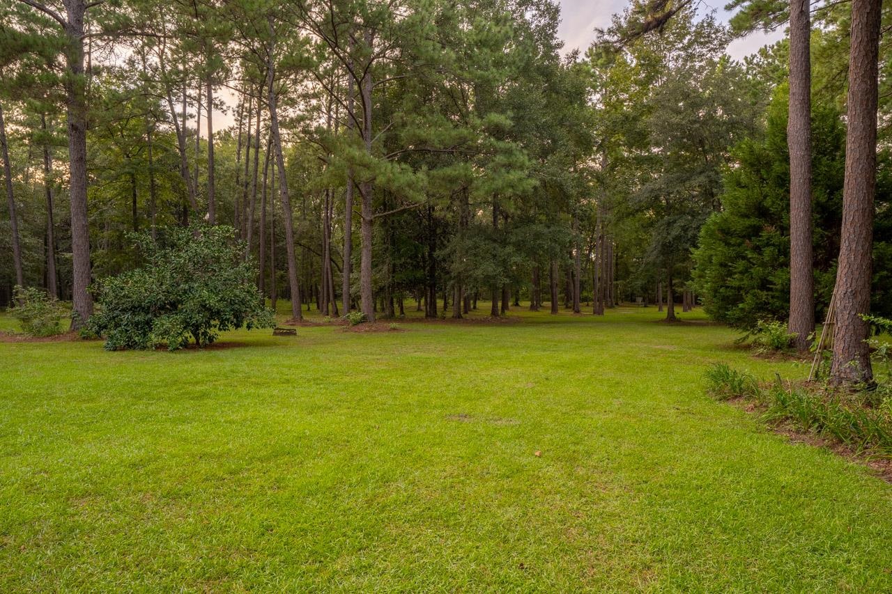 2535 Shady Rest Road Havana, FL 32333 - Photo 3 of 36 Gallery Image 3