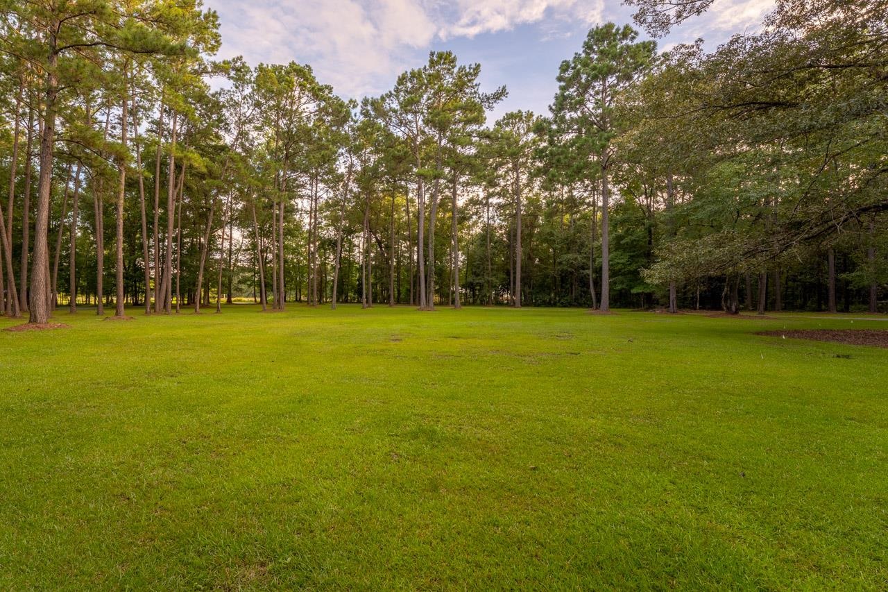 2535 Shady Rest Road Havana, FL 32333 - Photo 4 of 36 Gallery Image 4