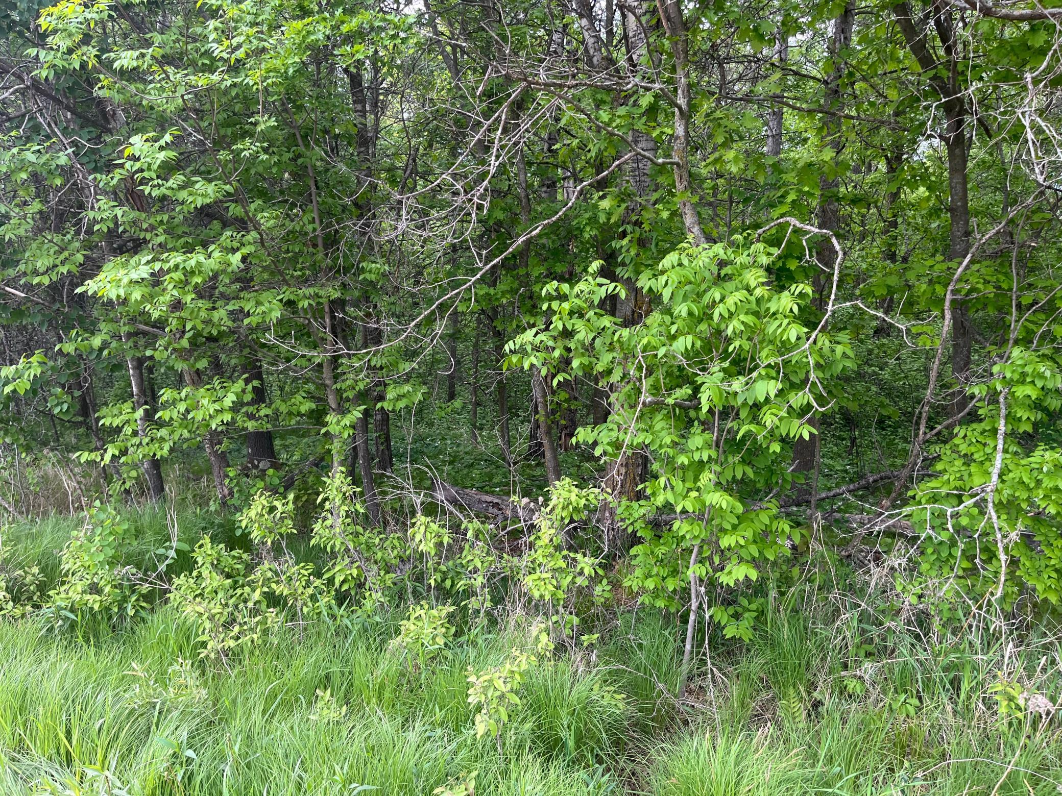 Tbd Tbd Crust Road Brainerd, MN 56401 - Photo 26 of 57