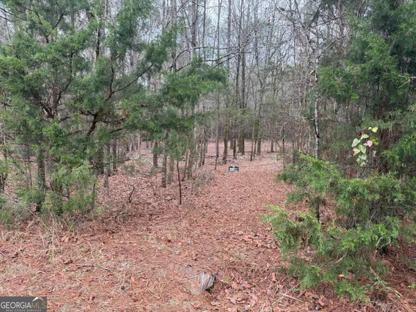 a view of backyard with green space