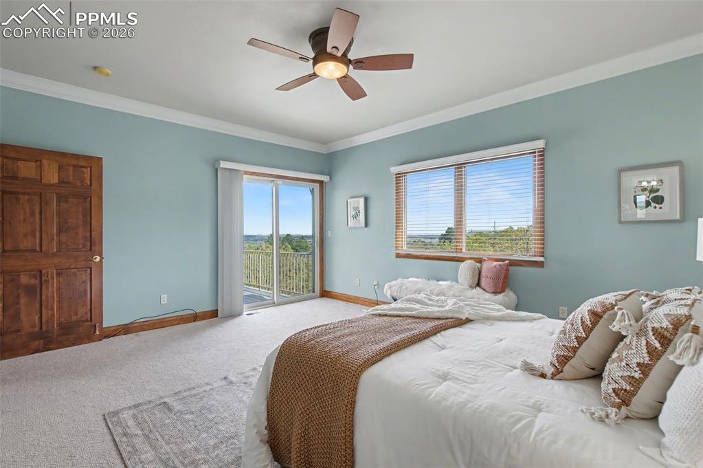 4215 Star Ranch Road Colorado Springs, CO 80906 - Photo 6 of 44 a bedroom with a large bed and a window