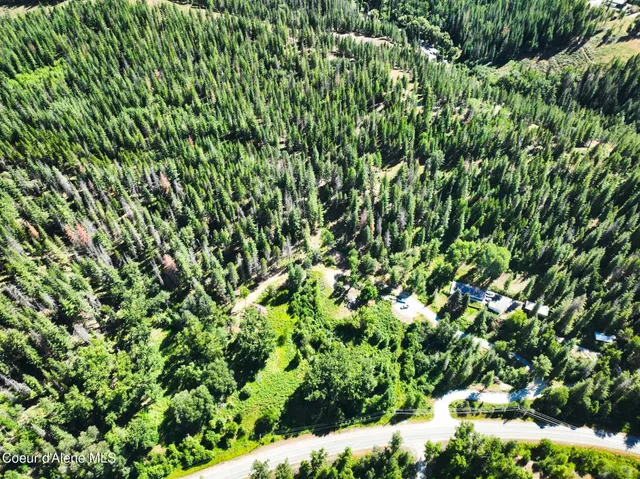 $569,000 | 46894 Silver Valley Road, Smelterville, ID 83868