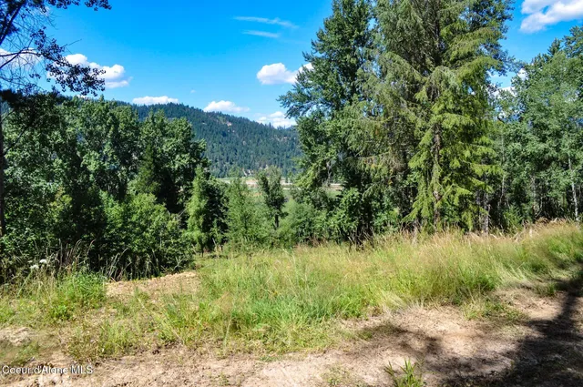 $569,000 | 46894 Silver Valley Road, Smelterville, ID 83868