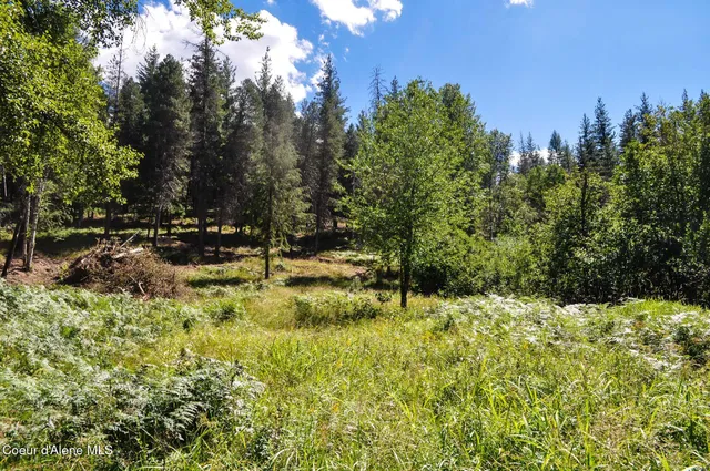 $569,000 | 46894 Silver Valley Road, Smelterville, ID 83868