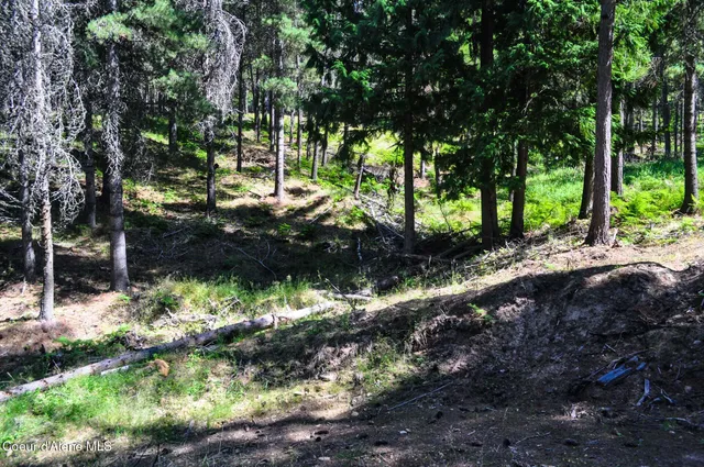 $569,000 | 46894 Silver Valley Road, Smelterville, ID 83868