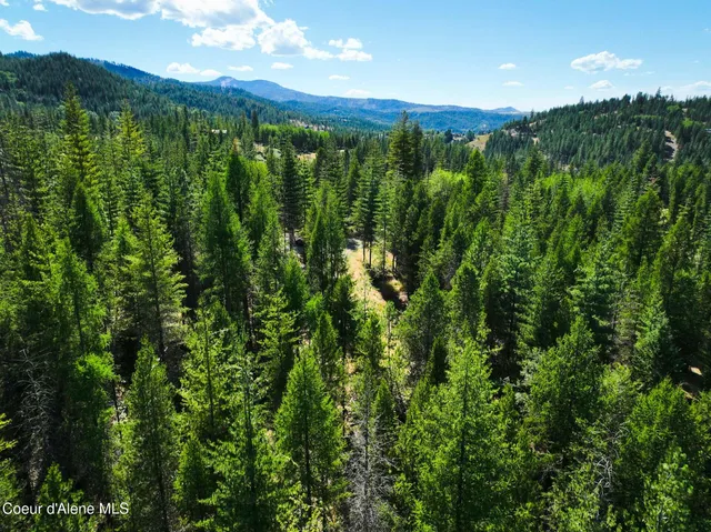 $569,000 | 46894 Silver Valley Road, Smelterville, ID 83868