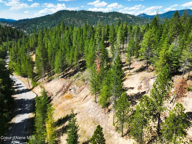 $569,000 | 46894 Silver Valley Road, Smelterville, ID 83868