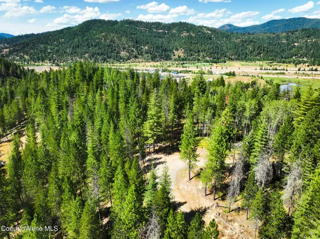 $569,000 | 46894 Silver Valley Road, Smelterville, ID 83868