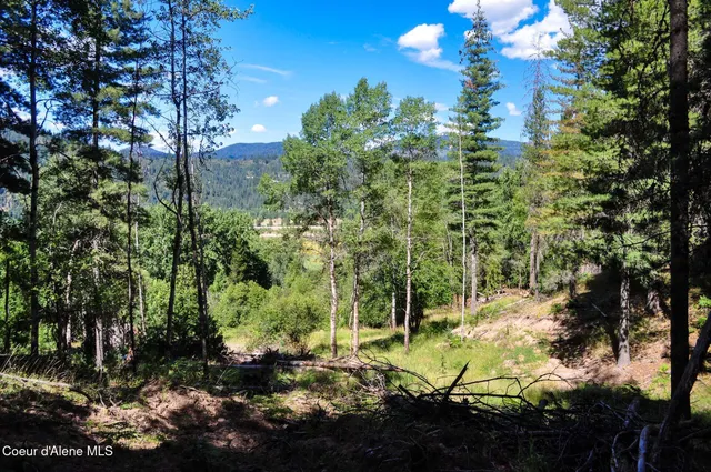 $569,000 | 46894 Silver Valley Road, Smelterville, ID 83868