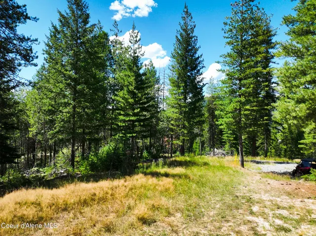 $569,000 | 46894 Silver Valley Road, Smelterville, ID 83868