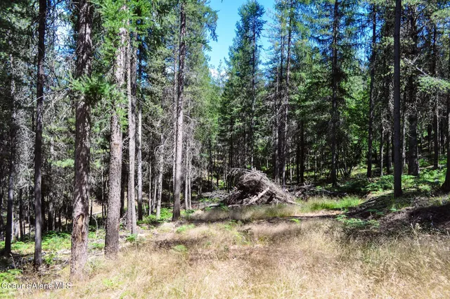 $569,000 | 46894 Silver Valley Road, Smelterville, ID 83868