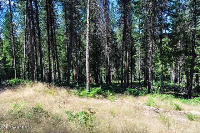 $569,000 | 46894 Silver Valley Road, Smelterville, ID 83868