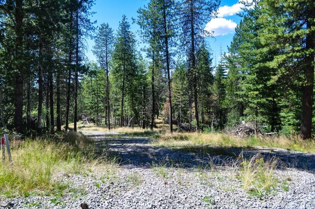 $569,000 | 46894 Silver Valley Road, Smelterville, ID 83868