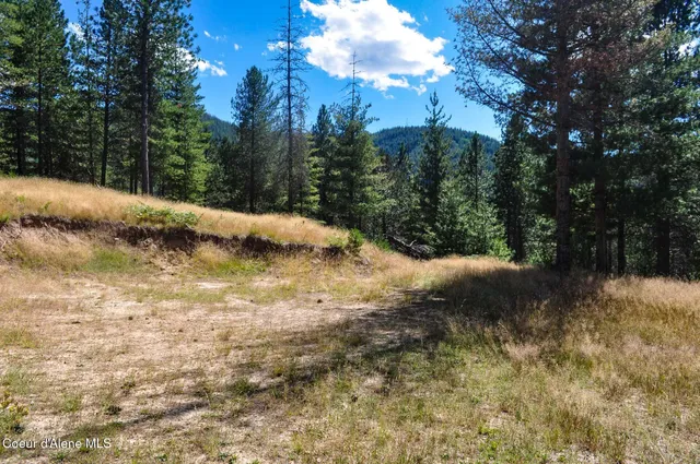 $569,000 | 46894 Silver Valley Road, Smelterville, ID 83868