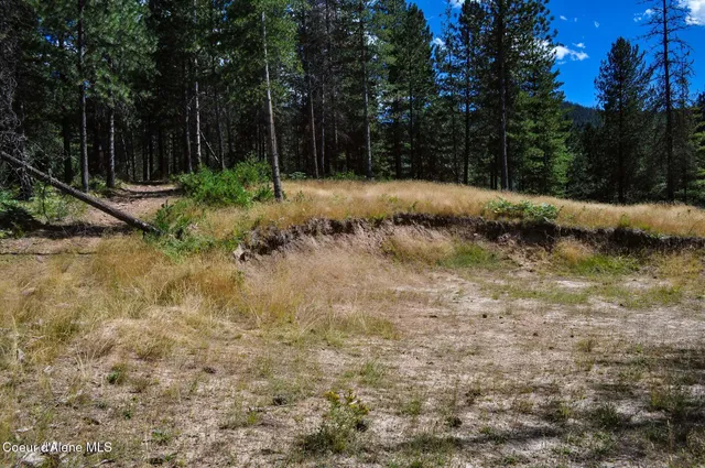 $569,000 | 46894 Silver Valley Road, Smelterville, ID 83868