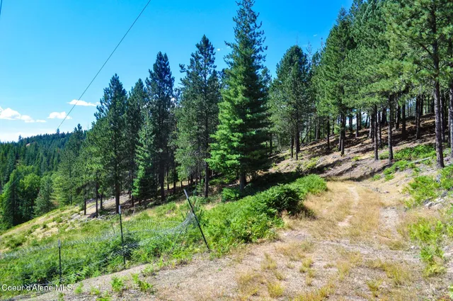 $569,000 | 46894 Silver Valley Road, Smelterville, ID 83868