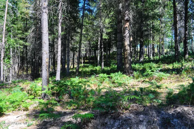 $569,000 | 46894 Silver Valley Road, Smelterville, ID 83868