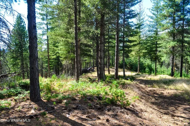 $569,000 | 46894 Silver Valley Road, Smelterville, ID 83868