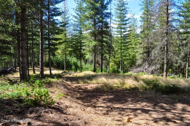 $569,000 | 46894 Silver Valley Road, Smelterville, ID 83868