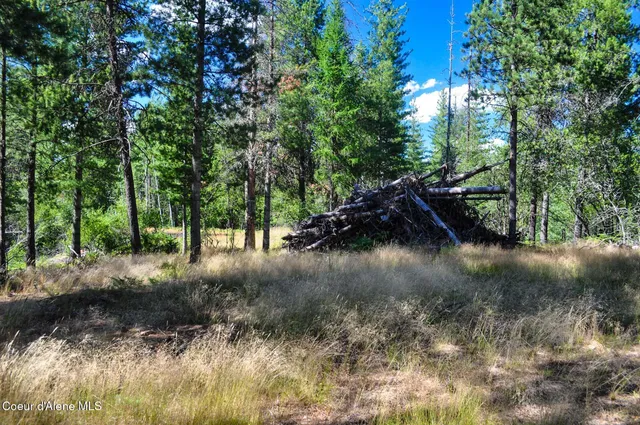 $569,000 | 46894 Silver Valley Road, Smelterville, ID 83868