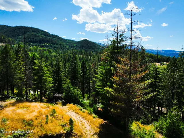 $569,000 | 46894 Silver Valley Road, Smelterville, ID 83868