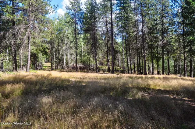 $569,000 | 46894 Silver Valley Road, Smelterville, ID 83868