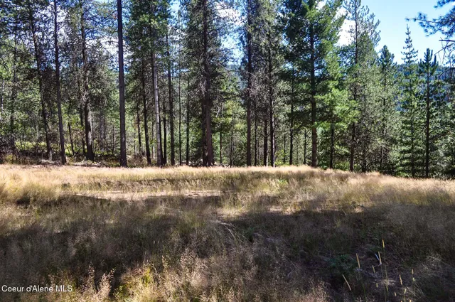 $569,000 | 46894 Silver Valley Road, Smelterville, ID 83868