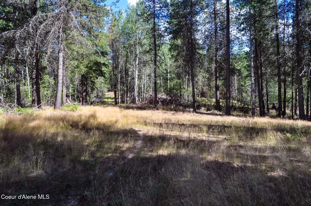 $569,000 | 46894 Silver Valley Road, Smelterville, ID 83868