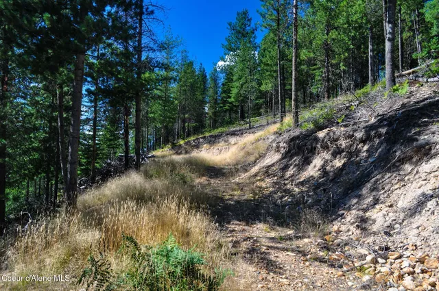 $569,000 | 46894 Silver Valley Road, Smelterville, ID 83868