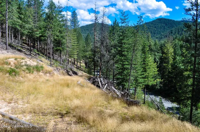 $569,000 | 46894 Silver Valley Road, Smelterville, ID 83868