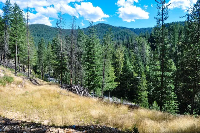 $569,000 | 46894 Silver Valley Road, Smelterville, ID 83868