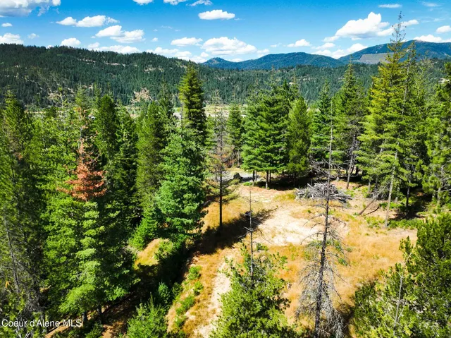 $569,000 | 46894 Silver Valley Road, Smelterville, ID 83868