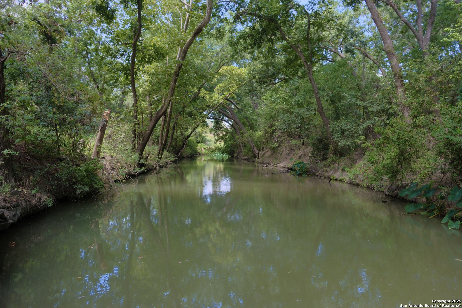 a view of lake with green space