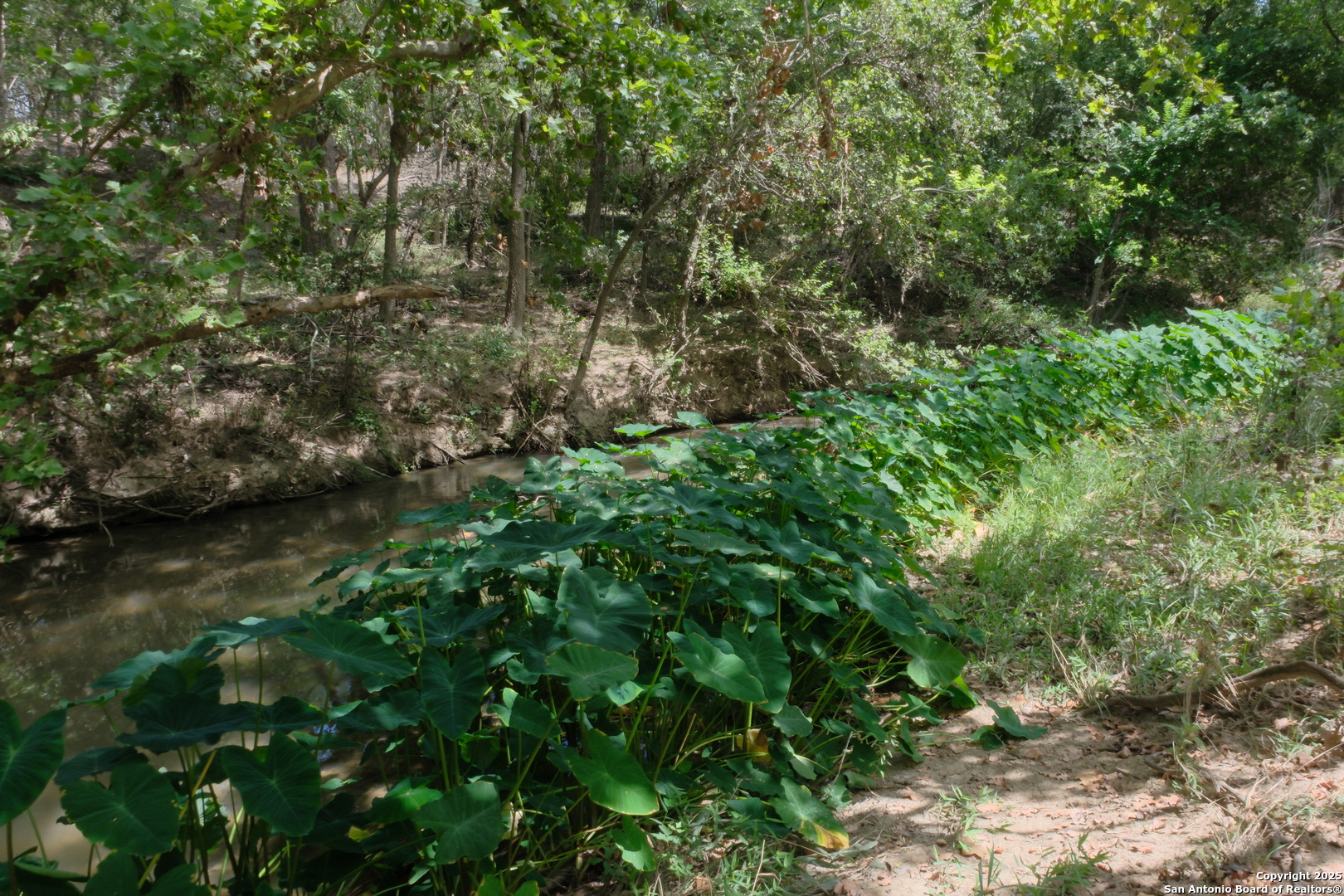 17585 Fargoer Way Marion, TX 78124 - Photo 2 of 34