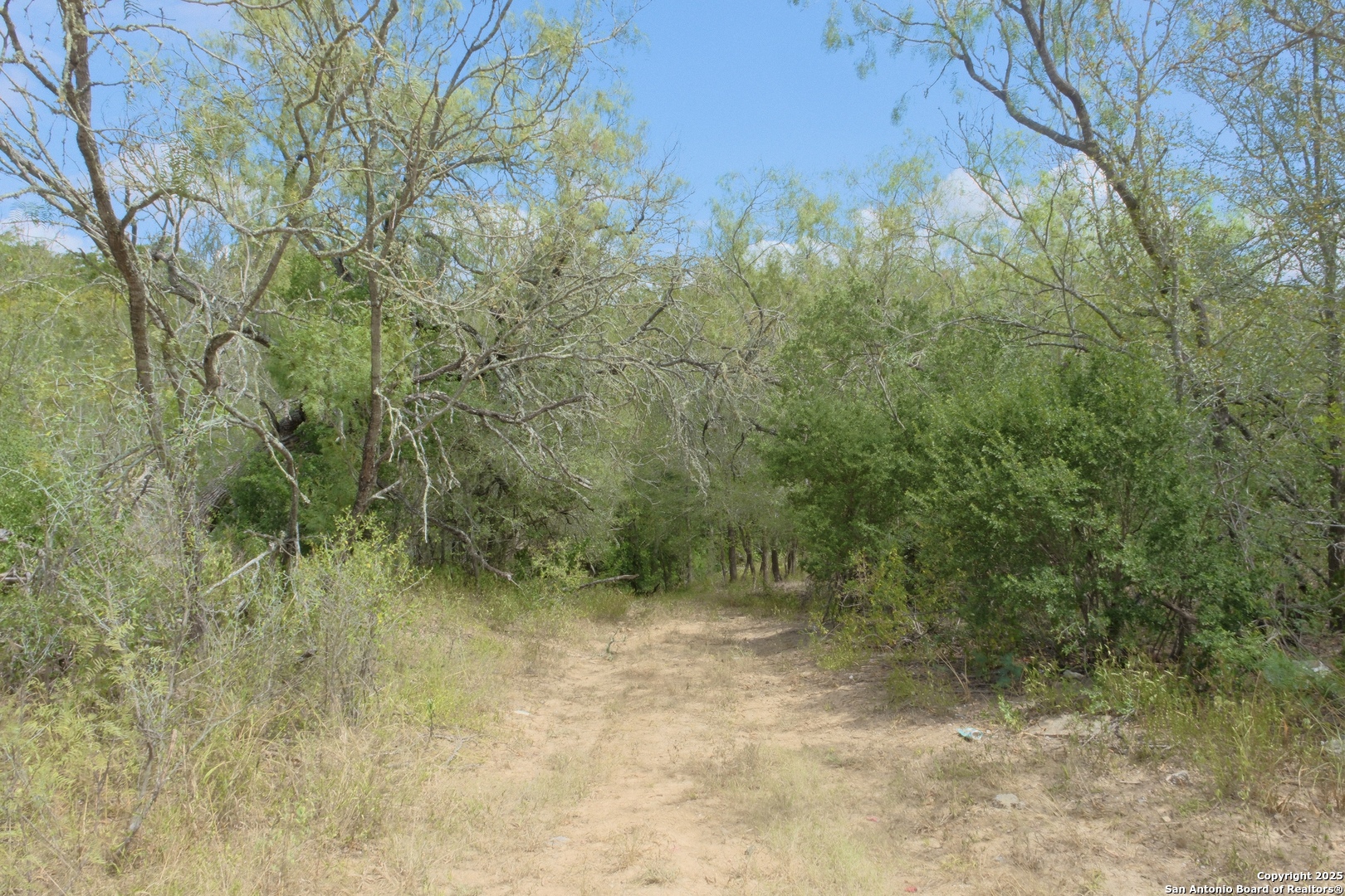 17585 Fargoer Way Marion, TX 78124 - Photo 30 of 34 a view of a yard with a tree