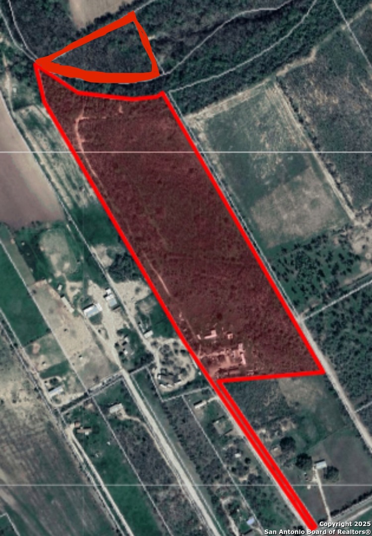 17585 Fargoer Way Marion, TX 78124 - Photo 34 of 34 a wooden floor with a palm and trees