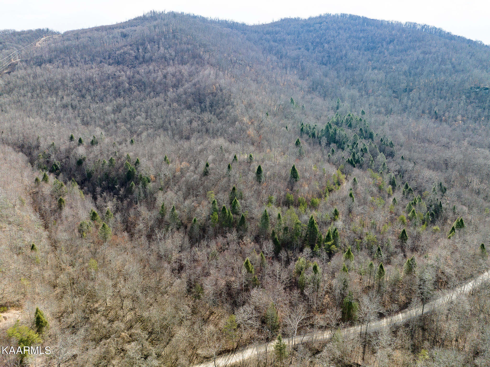 Upper Jellico Creek Road Winfield, TN 37892 - Photo 3 of 40 Peaceful Mountain Setting
