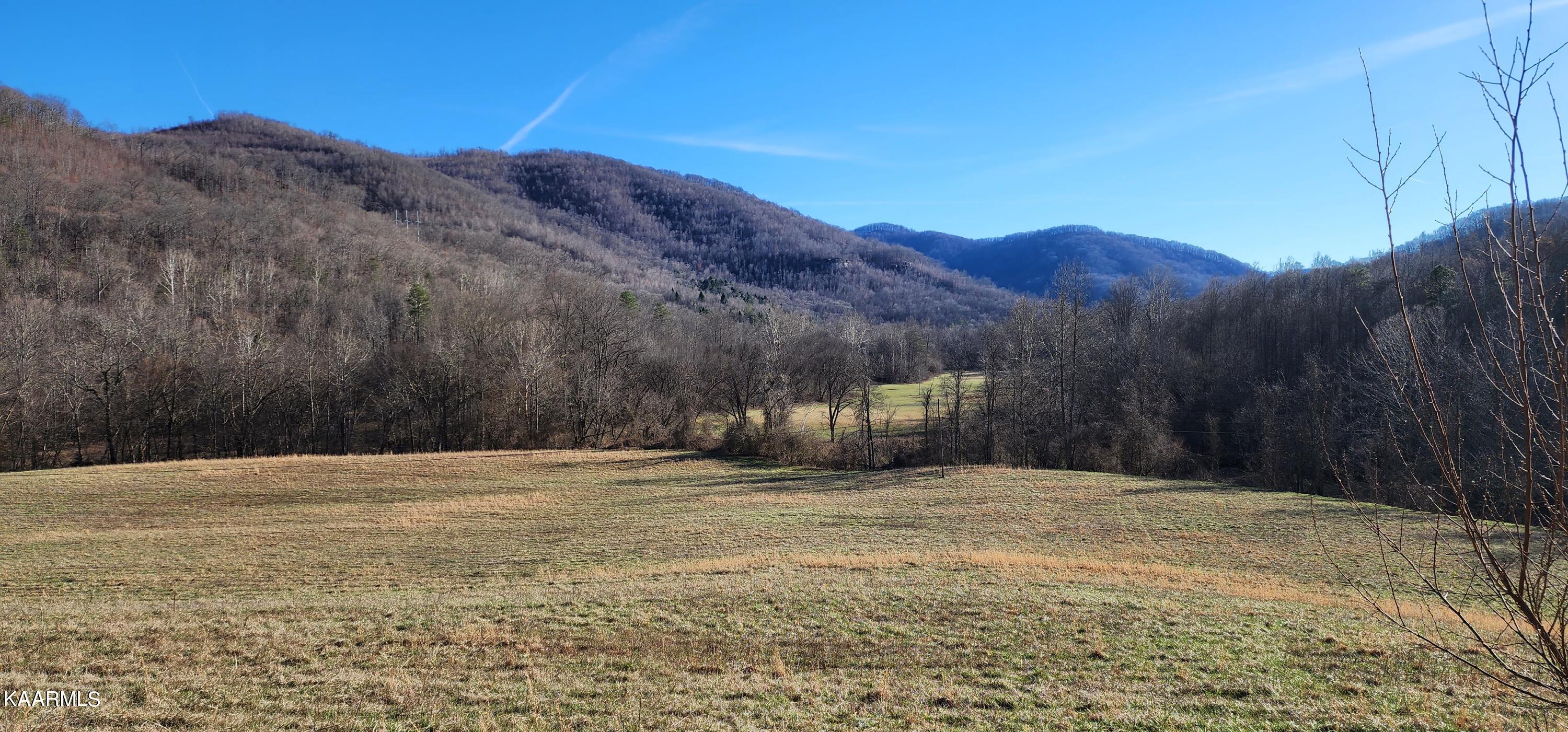 Upper Jellico Creek Road Winfield, TN 37892 - Photo 39 of 40 Valley View Looking Toward Property