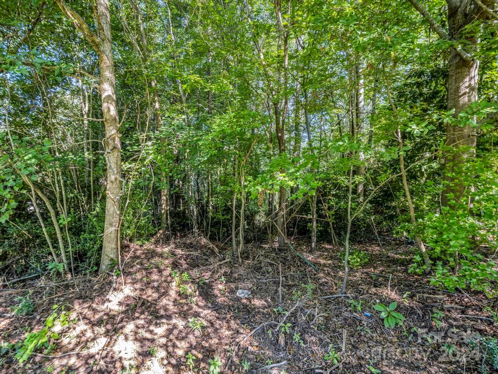 1002 Scenic Drive Shelby, NC 28150 - Photo 43 of 43