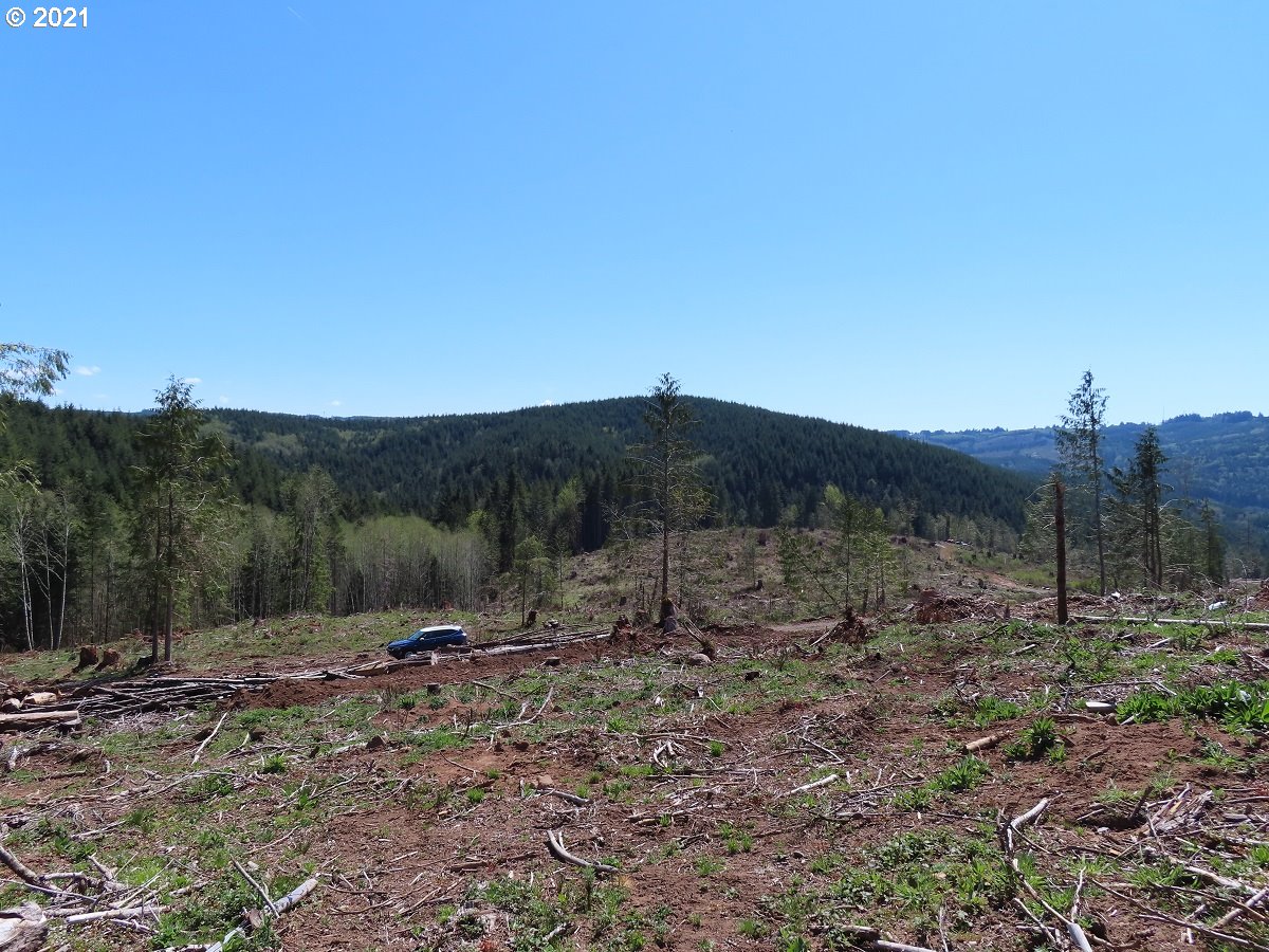 Stewart Spur Road, Unit 14 Kelso, WA 98626 - Photo 14 of 25 Gallery Image 14