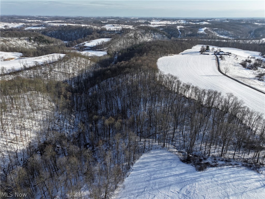 0 Tract 2 Morrs Ridge Road Jerusalem, OH 43747 - Photo 4 of 10