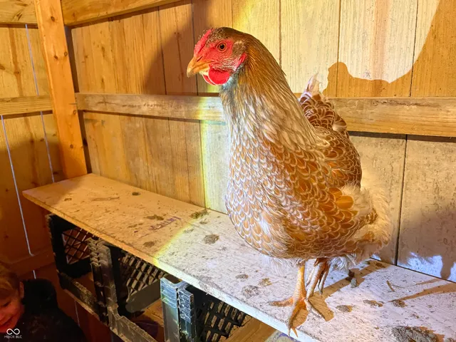 $164,900 | 0 West North Street, Anderson, IN 46012