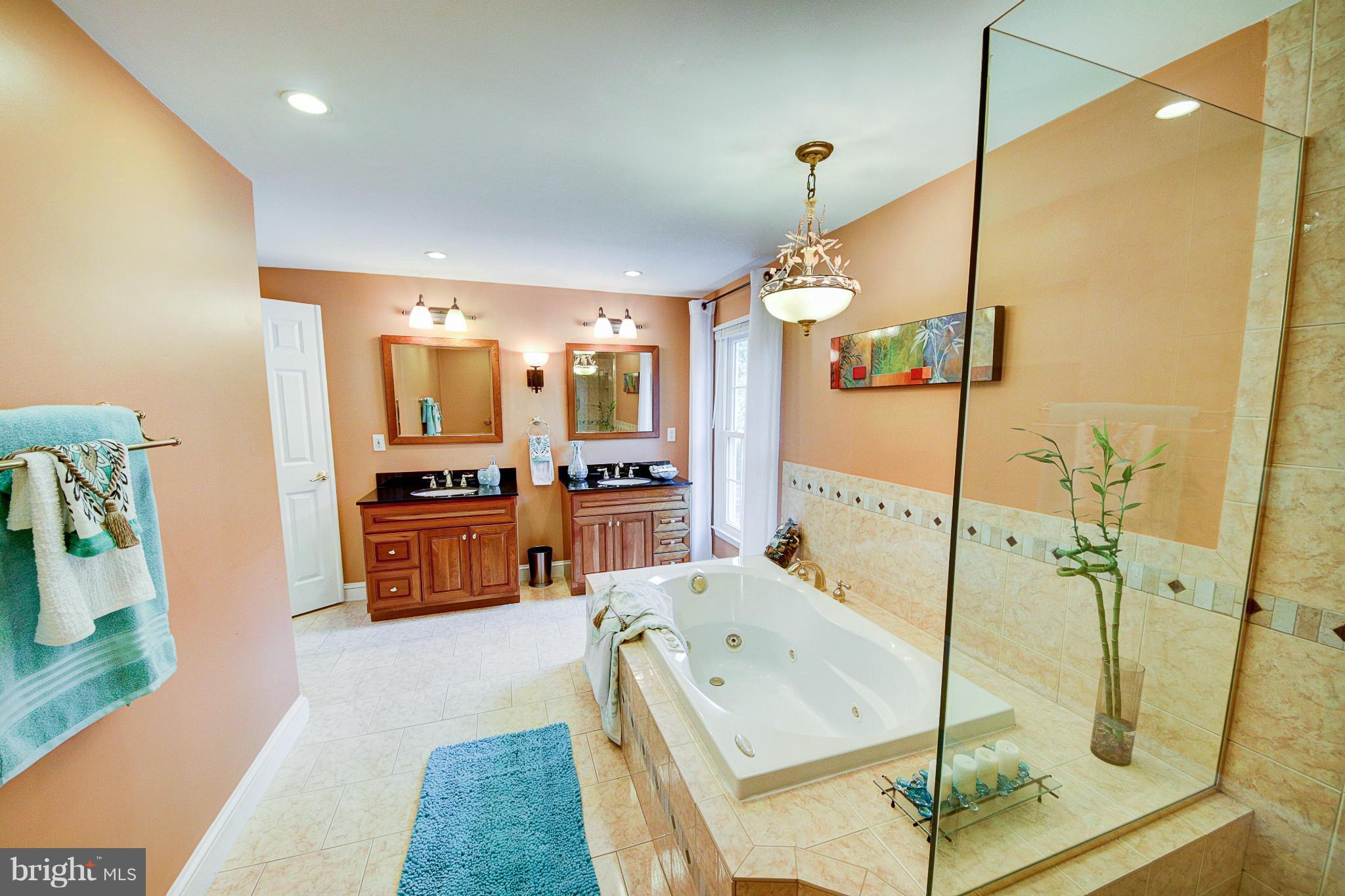 121 Peyton Road Sterling, VA 20165 - Photo 16 of 30 Bath (Master)