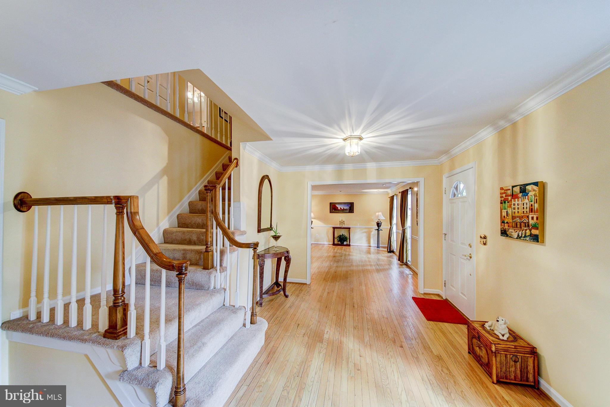 Interior (General)