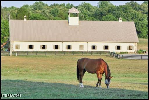232 Eagle Circle Vonore, TN 37885 - Photo 13 of 25 Equestrian barn