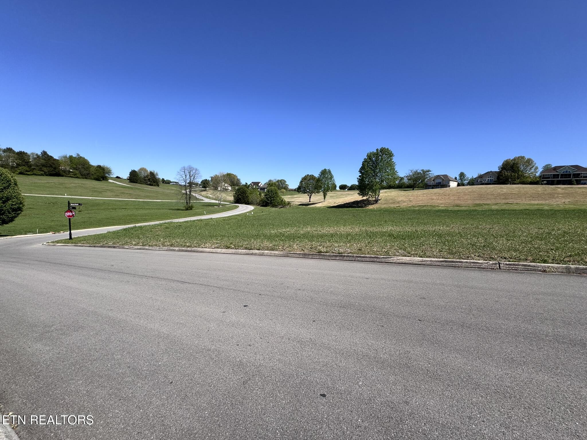 232 Eagle Circle Vonore, TN 37885 - Photo 25 of 25 IMG_6274